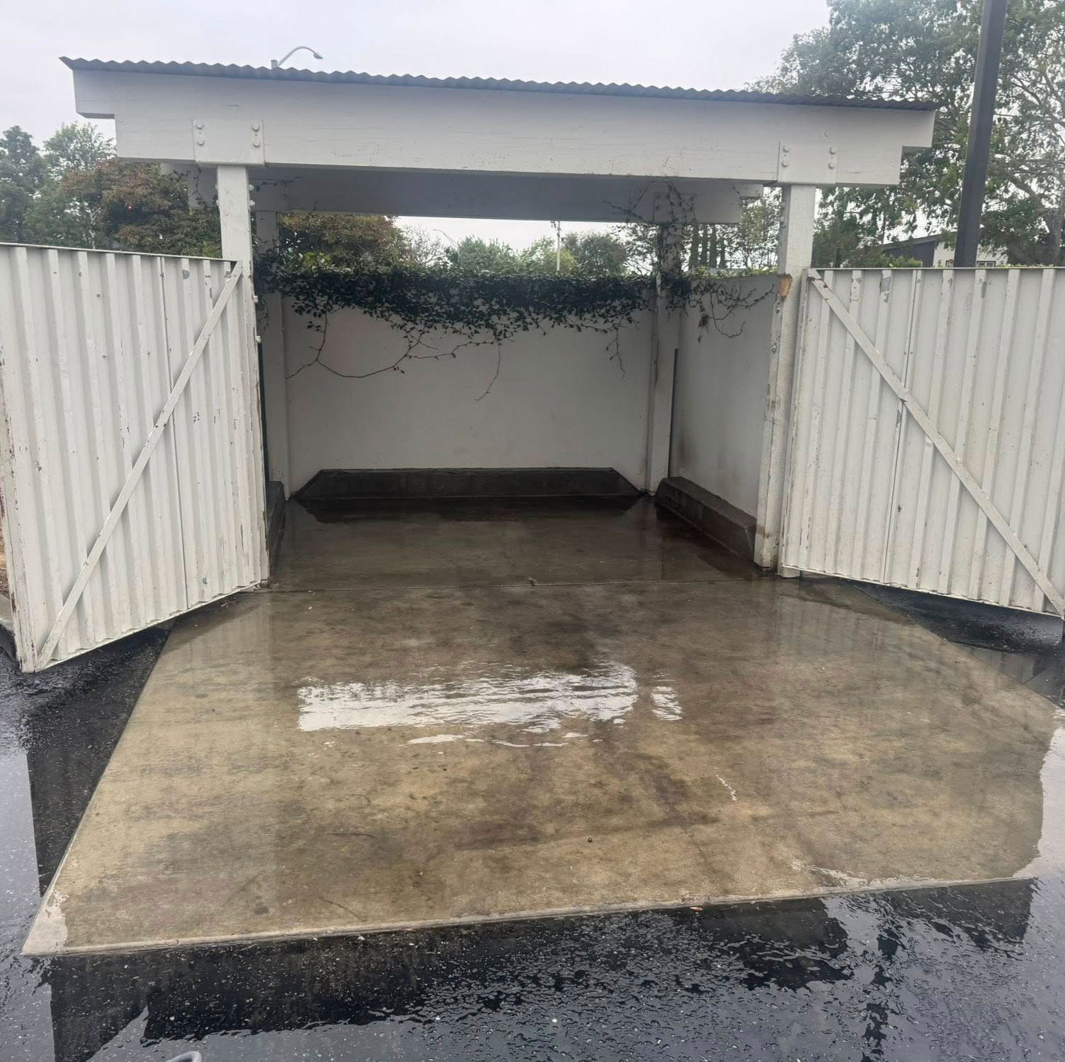 Dumpster Pressure Washing